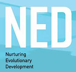 rturing Evolutionary Development NED logo
